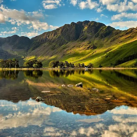 Newlands Is Charming And Pet-friendly *