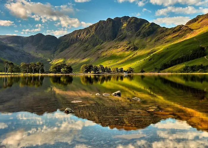 Newlands Is Charming And Pet-friendly *